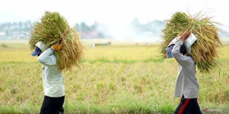 Sahabat Petranas, Tahukah Arti Kata Petani?