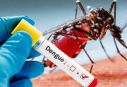 Peningkatan Kasus Demam Berdarah Dengue (DBD) Global: Tantangan dan Solusi Multidisiplin