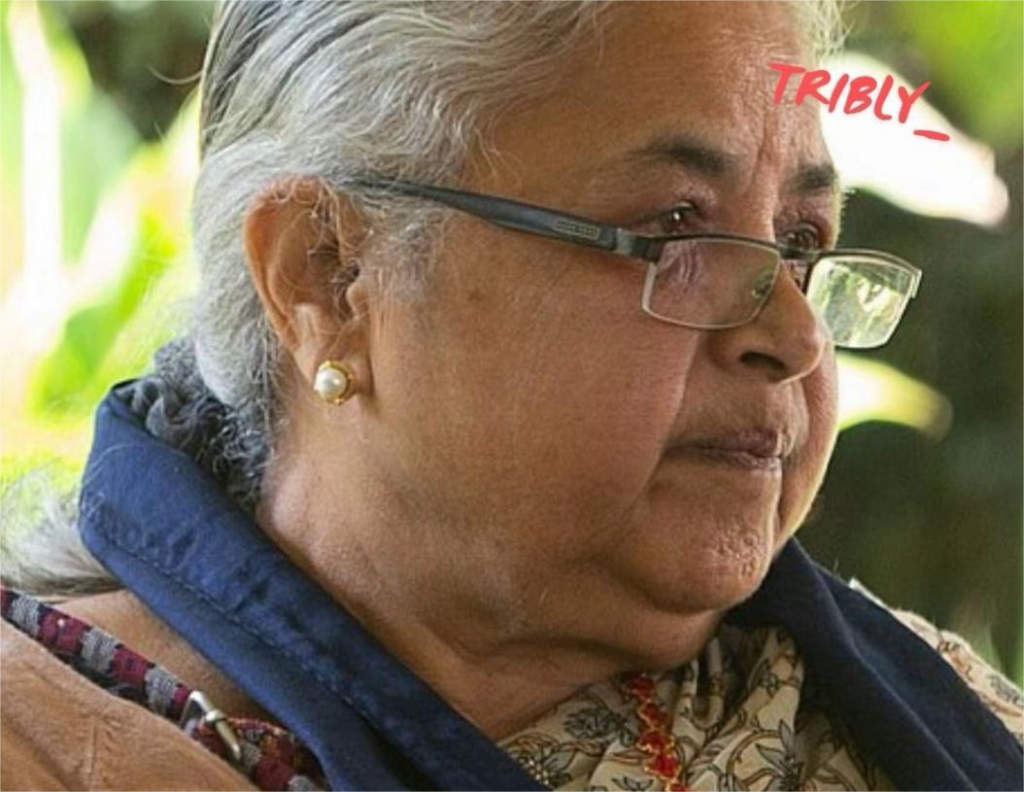 EVOLUSI DIGITAL DI HIMALAYA: NEPAL PILIH PERDANA MENTERI LEWAT DISCORD