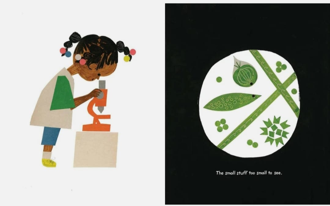 Two Ways of Seeing Life